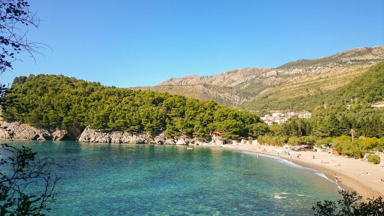 Apartment Green House Petrovac Bagian luar foto